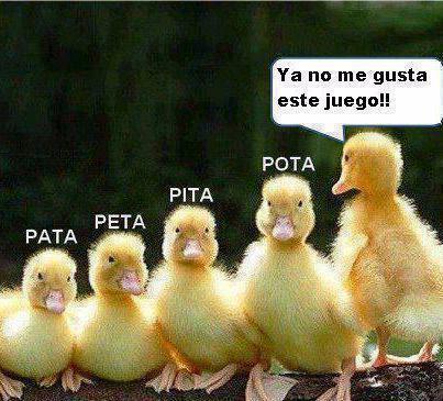 Nombre:  409648_154759994647663_1036012989_n.jpg
Visitas: 355
Tama�o: 35.6 KB