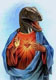 Avatar de Solanus