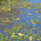 Avatar de marazul