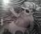 Avatar de sondleal