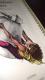 Avatar de Coronado Buf�n