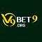 Avatar de v9bet9org