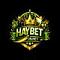 Avatar de haybetinnet