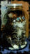 Avatar de pete_pistolas