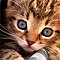 Avatar de Tyrex