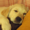Avatar de mafeci