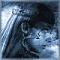 Avatar de delfin77
