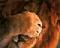 Avatar de peon63